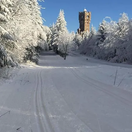 Attraktive In Rosenthal Am Rennsteig *